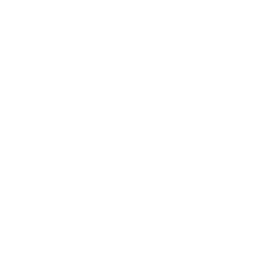 Logo LPB Conseil blanc sans baseline